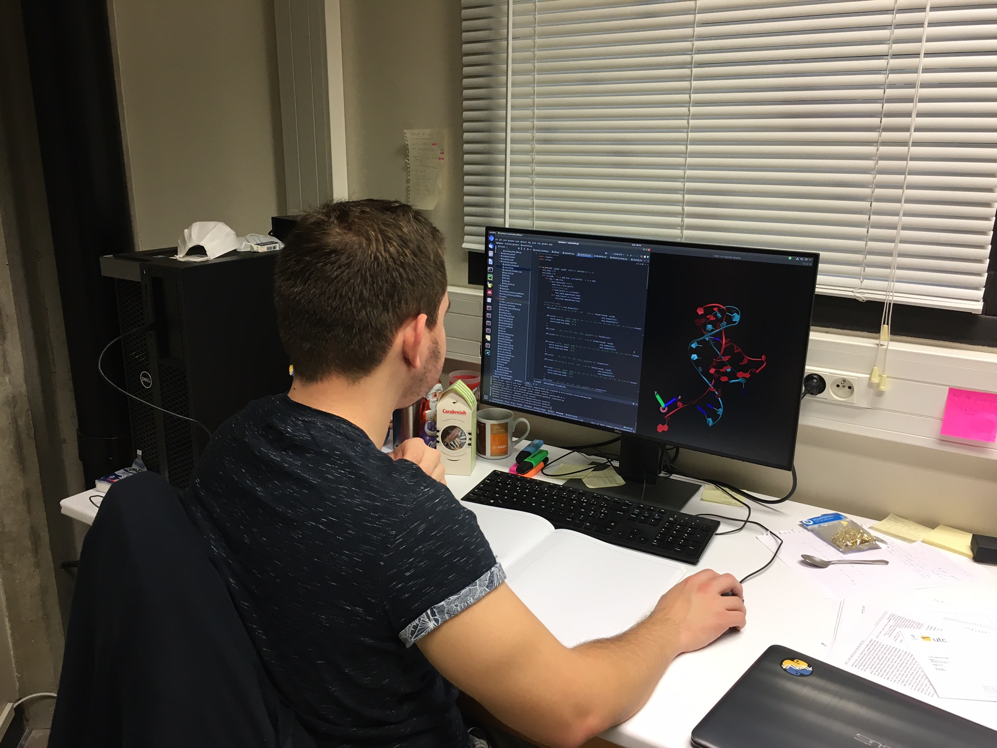 Bio-informatique