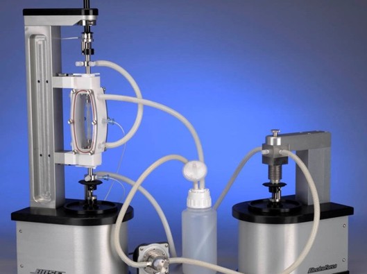 Ingénierie des systèmes biologiques natifs ou reconstruits – INGESYSBIO